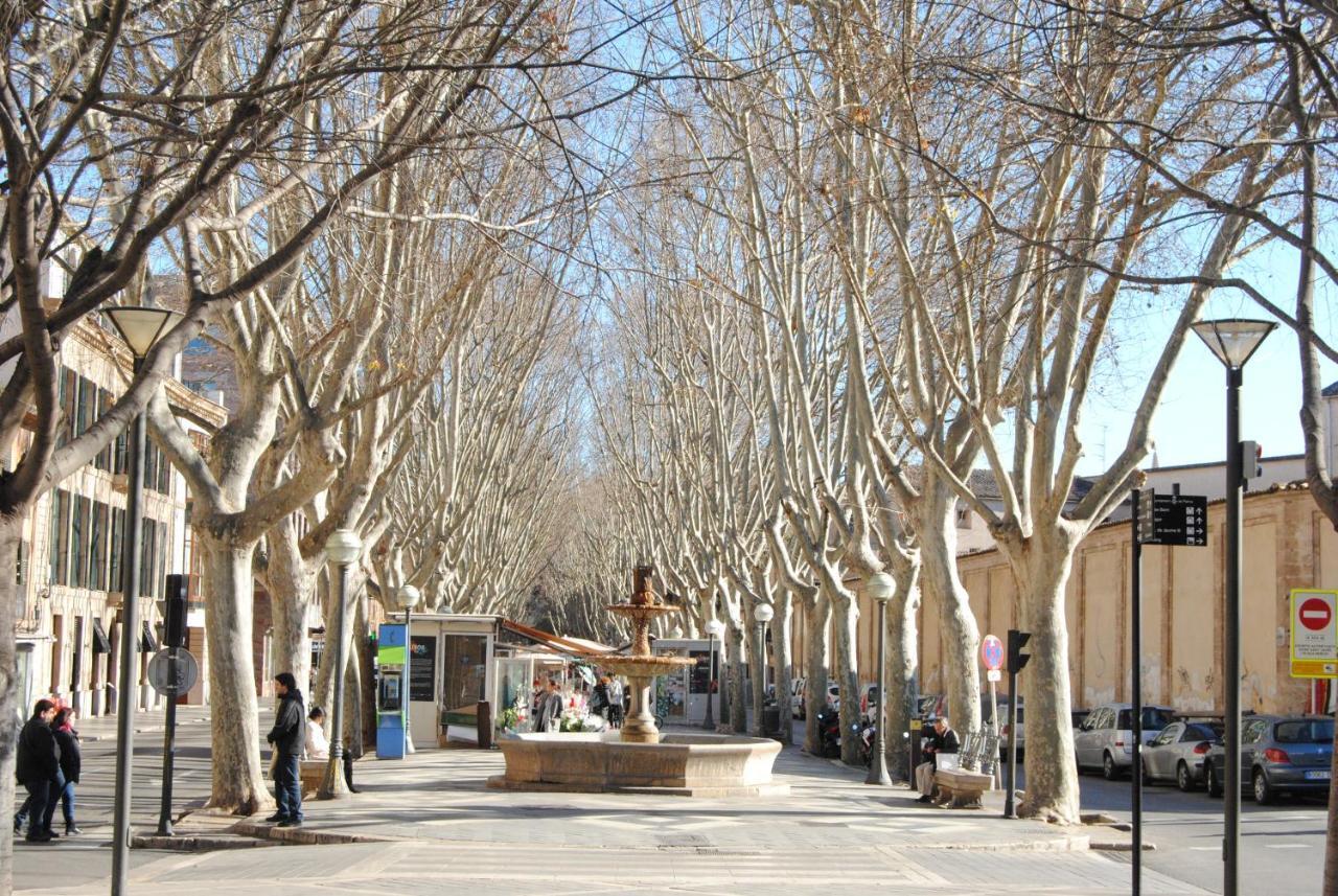 Cream Homes La Rambla, Turismo De Interior Пальма-де-Майорка Екстер'єр фото